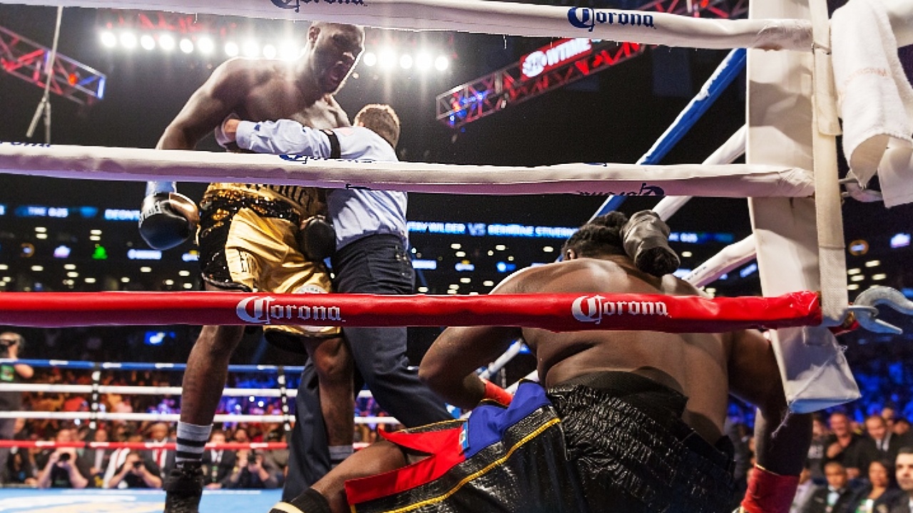 Bermane Stiverne vs Deontay Wilder 2